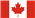 Basenji fokkers in Canada