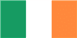 Bracco Italiano fokkers en pups in Ierland
