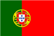 Basenji fokkers en pups in Portugal