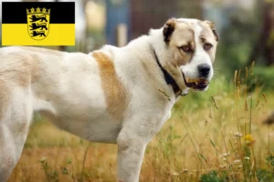 Lees meer over het artikel Centraal-Aziatische Herdershond Fokker en Puppies in Baden-Württemberg