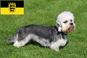 Lees meer over het artikel Dandie Dinmont Terrier fokkers en pups in Baden-Württemberg
