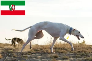 Lees meer over het artikel Chart Polski fokkers en pups in Noordrijn-Westfalen