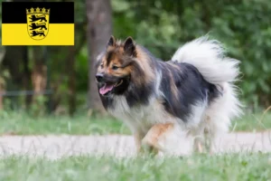 Lees meer over het artikel Elo fokkers en pups in Baden-Württemberg