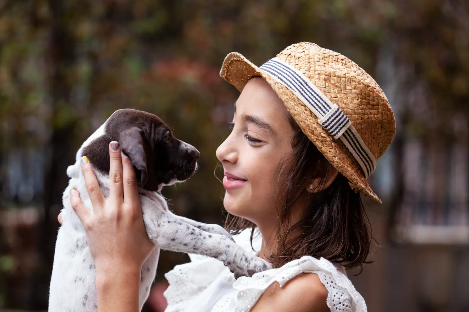 Een Braque français type Gascogne puppy kopen betekent verantwoordelijkheid nemen! Braque français type Gascogne puppy's te koop.