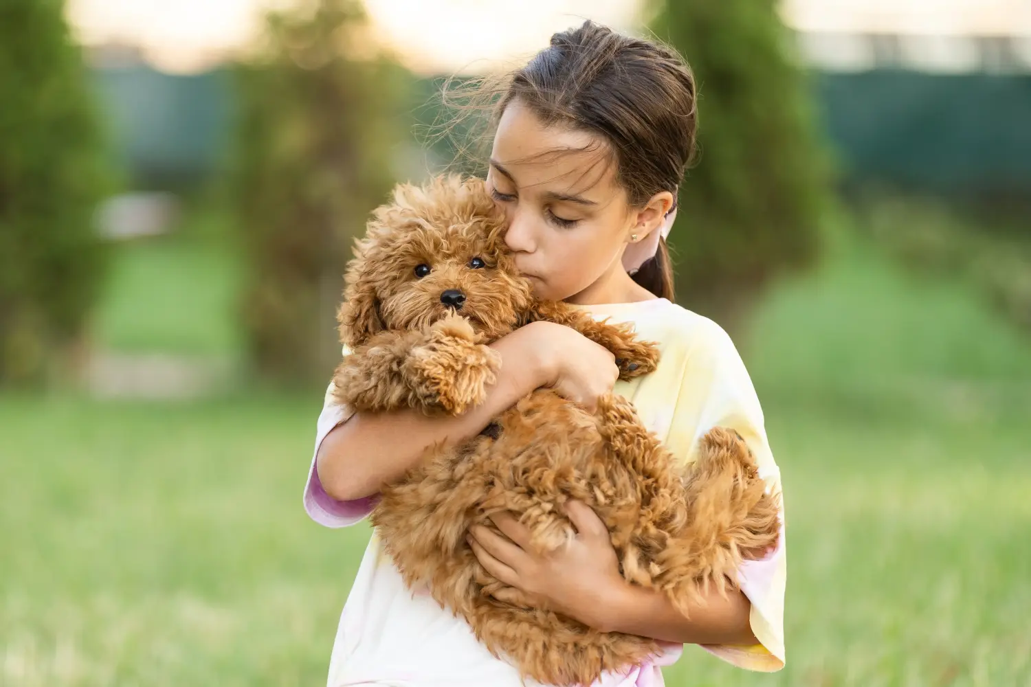 Een Maltipoo puppy kopen betekent verantwoordelijkheid nemen! Maltipoo puppy kopen.